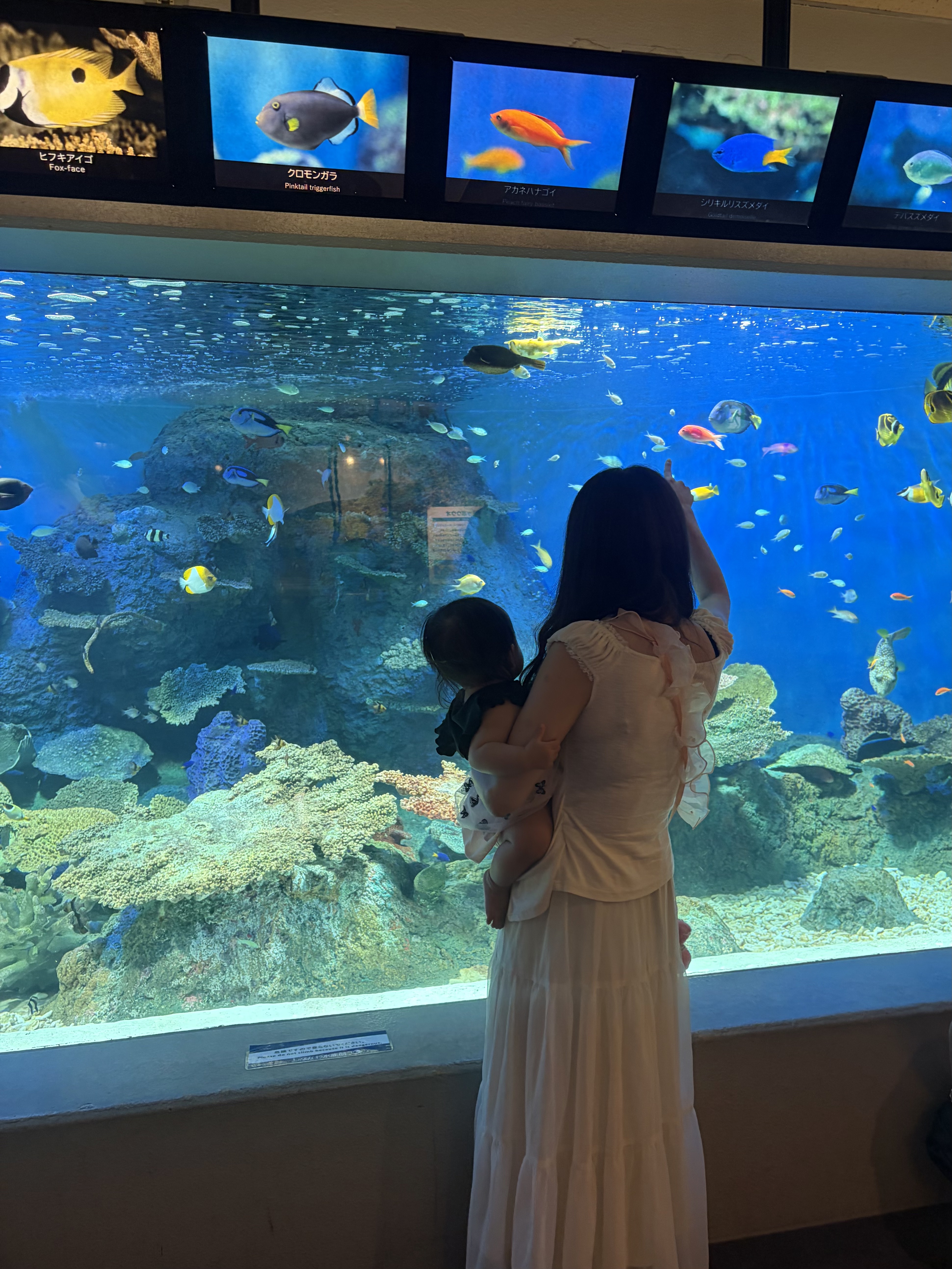 写真:水族館の写真